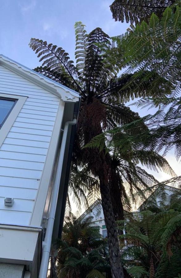 Tiny House In The Sky Ξενοδοχείο Ντούνεντιν Εξωτερικό φωτογραφία